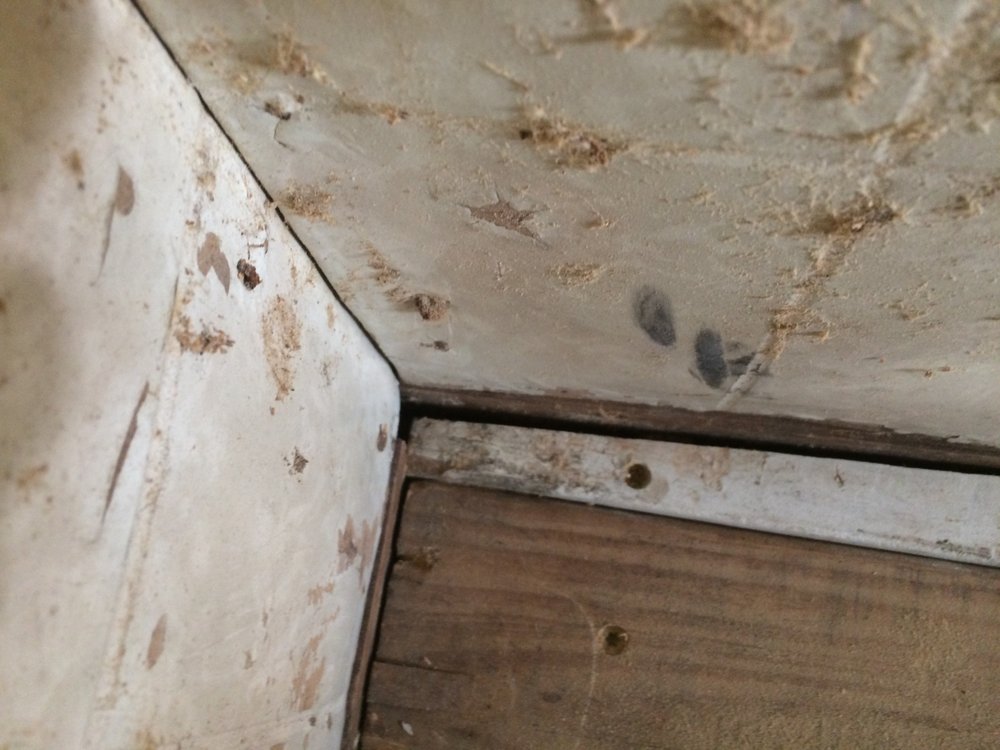 Slide of Diamond Demolition