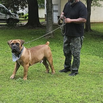 PetSmart - Dog and the owner - Pet Training Near Me - Hiram, Georgia