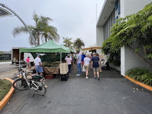 Solana Beach Farmers Market by null
