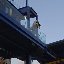 MCU Park - Sandy
