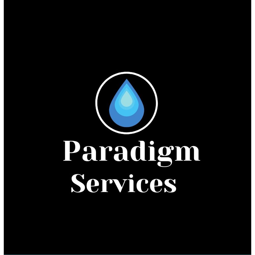Slide of Paradigm Services