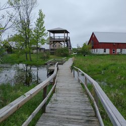 Woodland Dunes Nature Center - Looking back on the observation tower