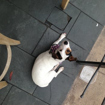 Brussels Bistro - My dog loves this place!! - Belgian Near Me - Laguna Beach, California Brussels Bistro - My dog loves this place!! - Belgian Near Me - Laguna Beach, California