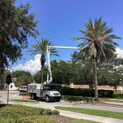 Pete and Rons Tree Service