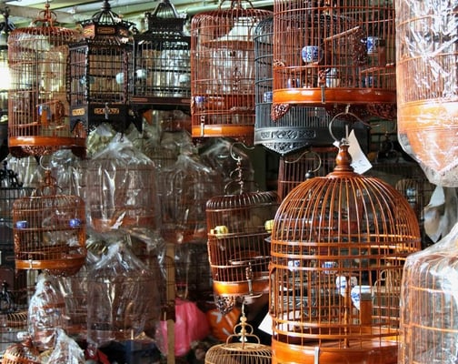 Yuen Po Street Bird Garden by null
