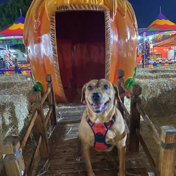 Shawn's Pumpkin Patch - Pumpkin Patches Near Me - Culver City , California