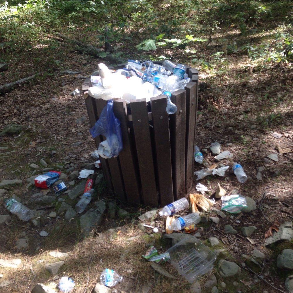 Bushkill Falls - Trash can one :( - Tours Near Me - Bushkill, Pennsylvania