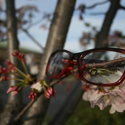 Cool Optometry - Modern frame.