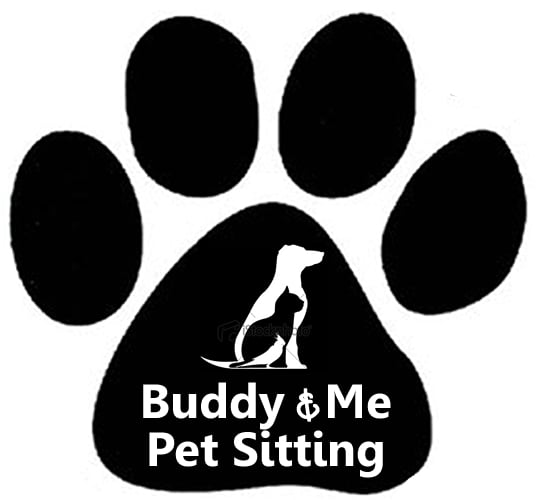 Buddy and Me Pet Sitting - pet boarding facility in Westfield, NJ
