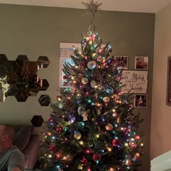Jordan Lake Christmas Tree Farm - Oh Christmas Tree!!