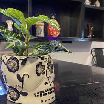 Tacos 805 - Cute decor - Mexican Near Me - Simi Valley, California Tacos 805 - Cute decor - Mexican Near Me - Simi Valley, California