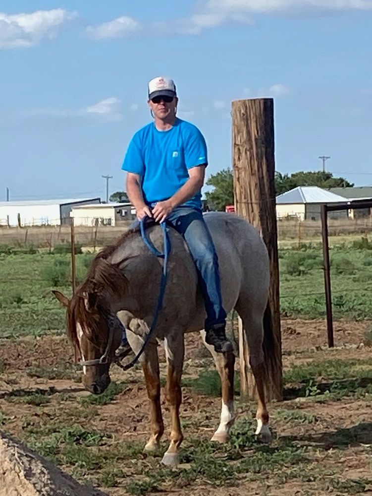 Social spots from Bockholt Horseshoeing 