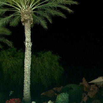 Rancho Manana - Night swimming at Rancho Manana - Hotels Near Me - Cave Creek, Arizona