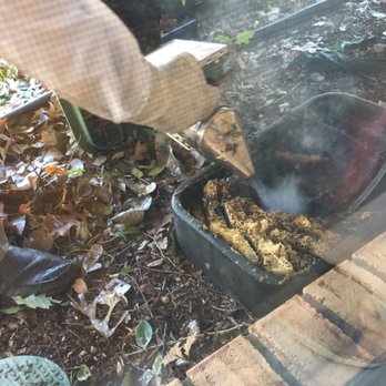 Bee Safe Bee Removal - Smoking the bees in my valve box so they would remain calm. There was enough honey comb to weigh 30 to 40 pounds! - Pest Control Near Me - North Richland Hills, Texas