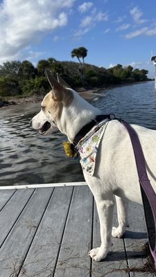 Merritt Island National Wildlife Refuge Visitor Center by null