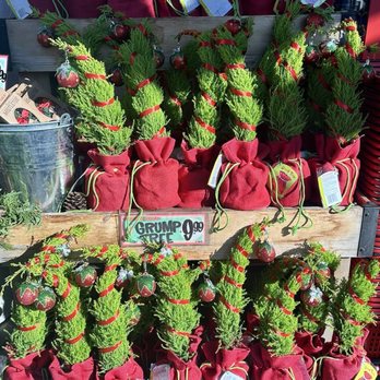 Trader Joe's - Grinch Christmas tree - Grocery Near Me - San Diego, California Trader Joe's - Grinch Christmas tree - Grocery Near Me - San Diego, California