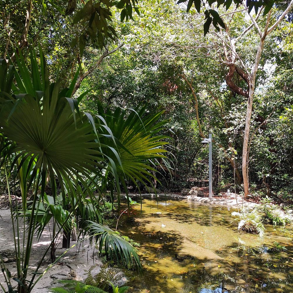 Simpson Park - Parks Near Me - Miami, Florida Simpson Park - Parks Near Me - Miami, Florida