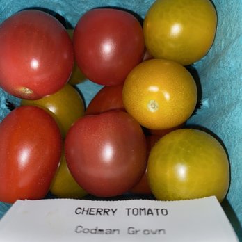 Codman Community Farms - tomato - Farmers Market Near Me - Lincoln, Massachusetts