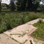 Photo of D&T landscaping