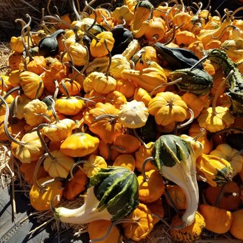 Lane Farms - Fruits & Veggies Near Me - Santa Barbara, California