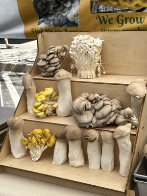 Montrose Farmers Market by null