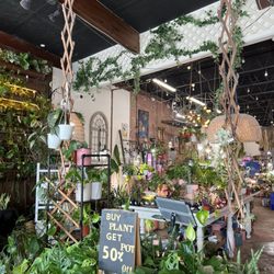 UPshining Houseplant Shop