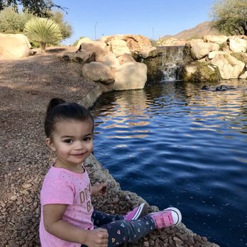 Anthem Community Park - Anthem Community Park is just beautiful!! - Parks Near Me - Anthem, Arizona
