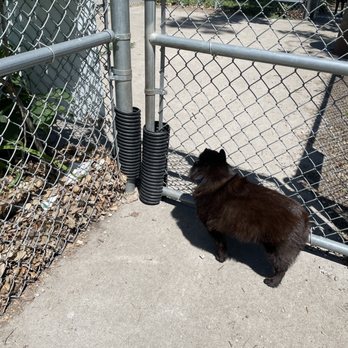 Marshalltown Dog Park - Small dog side with gap fixers - Dog Parks Near Me - Marshalltown, Iowa Marshalltown Dog Park - Small dog side with gap fixers - Dog Parks Near Me - Marshalltown, Iowa
