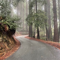 Old La Honda