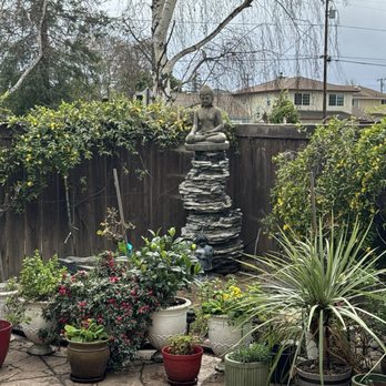 ML Tree Service - Tree Services Near Me - Redwood City, California ML Tree Service - Tree Services Near Me - Redwood City, California