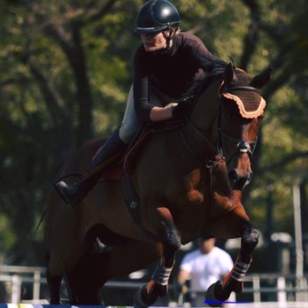 CM Stables - Horseback Riding Near Me - Los Angeles, California