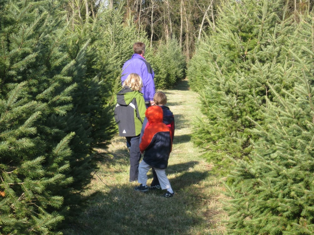MIDDLEBURG CHRISTMAS TREE FARM Updated August 2024 37 Photos & 42