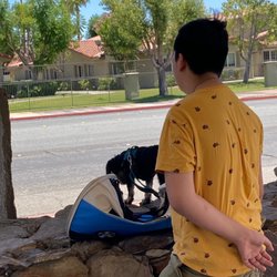 Palm Springs Health Care