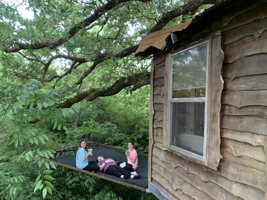 Savannah's Meadow by null