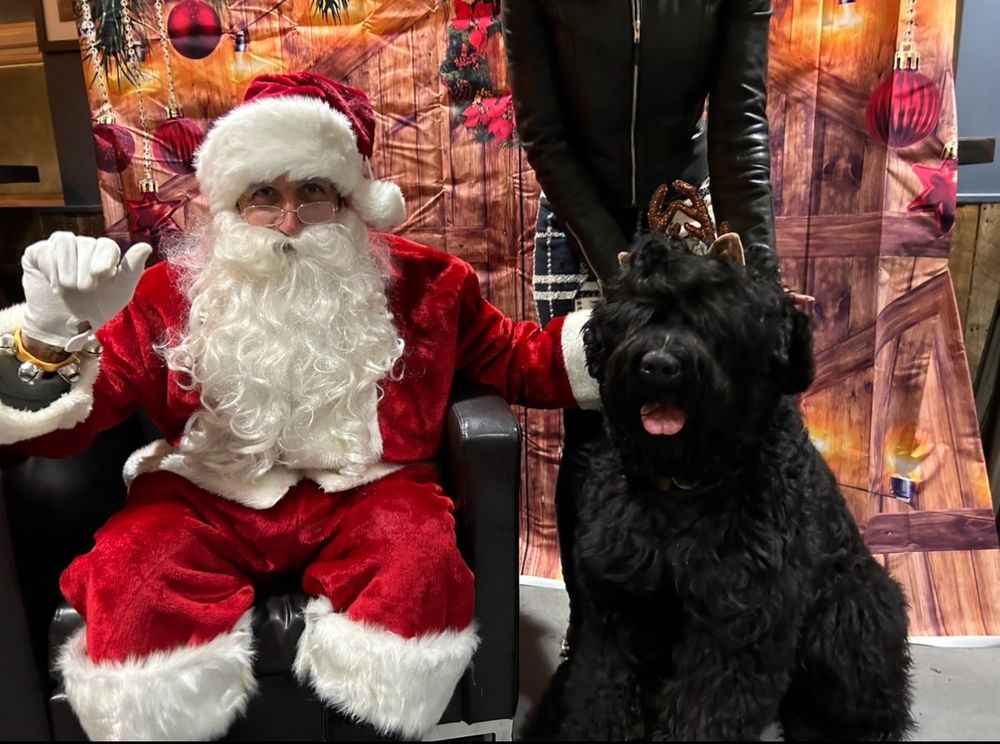 RITA’S GROOMING Updated October 2024 18 Photos & 14 Reviews 432