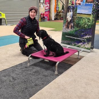 Cosmic Dog Training  - Pet Training Near Me