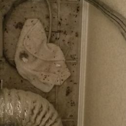 Saddly I have to leave due to a mass mice infestation in the complex. I ended up catching 5 mice in 1 day within my apartment. Saddly I have to leave due to a mass mice infestation in the complex. I ended up catching 5 mice in 1 day within my apartment.