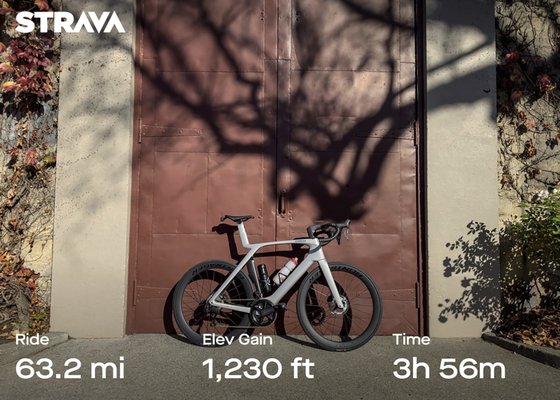 St Helena Cyclery by null