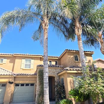 Henriquez Tree Service - Tree Services Near Me - Bakersfield, California Henriquez Tree Service - Tree Services Near Me - Bakersfield, California