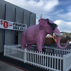 University Motors - Pinky says " I love to take pictures with our customers!"