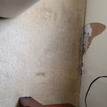 Prudential Realty - Carpet is full of mold due to water leaking at the front of the Building, possibly gutters, who knows who cares 4 yrs now!!! - Apartments Near Me - Pittsburgh, Pennsylvania
