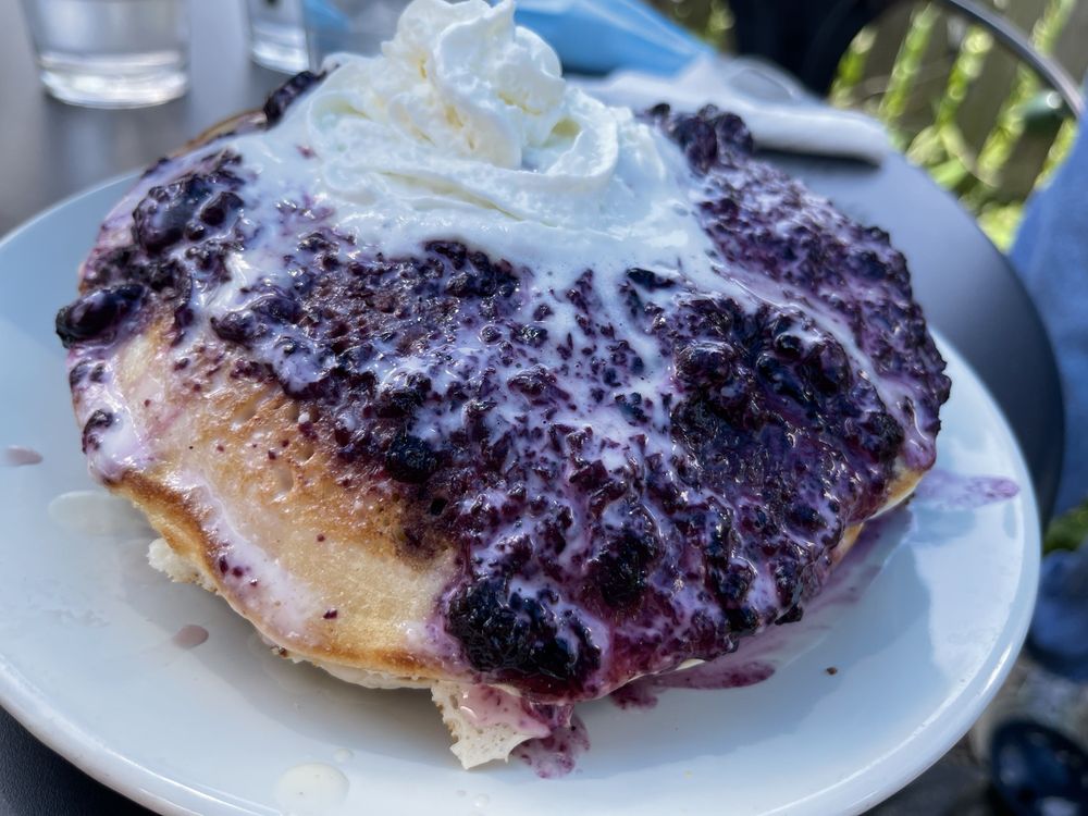 BIRD’S NEST CAFE 179 Photos & 92 Reviews Breakfast & Brunch 36 W