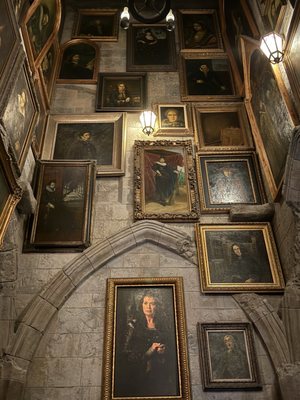 Harry Potter and the Forbidden Journey by null