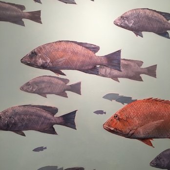Plum Gallery - Art Galleries Near Me - Saint Augustine, Florida