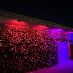 PBD's Lounge