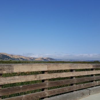 Radke Martinez Regional Shoreline - Parks Near Me - Martinez, California Radke Martinez Regional Shoreline - Parks Near Me - Martinez, California