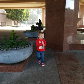 Hilton Long Beach - Hotels Near Me - Long Beach, California