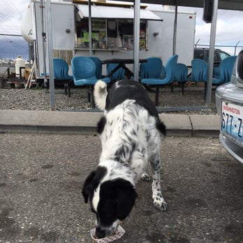 Tacos Super Uno - Tacos Super Uno gave my dog a plate of beef while we waited for tacos - Food Trucks Near Me - Richland, Washington Tacos Super Uno - Tacos Super Uno gave my dog a plate of beef while we waited for tacos - Food Trucks Near Me - Richland, Washington