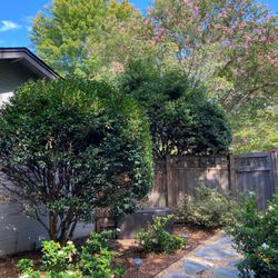 Clear Advantage Landscaping