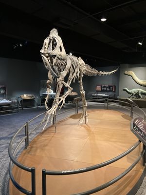 The Durham Museum by null